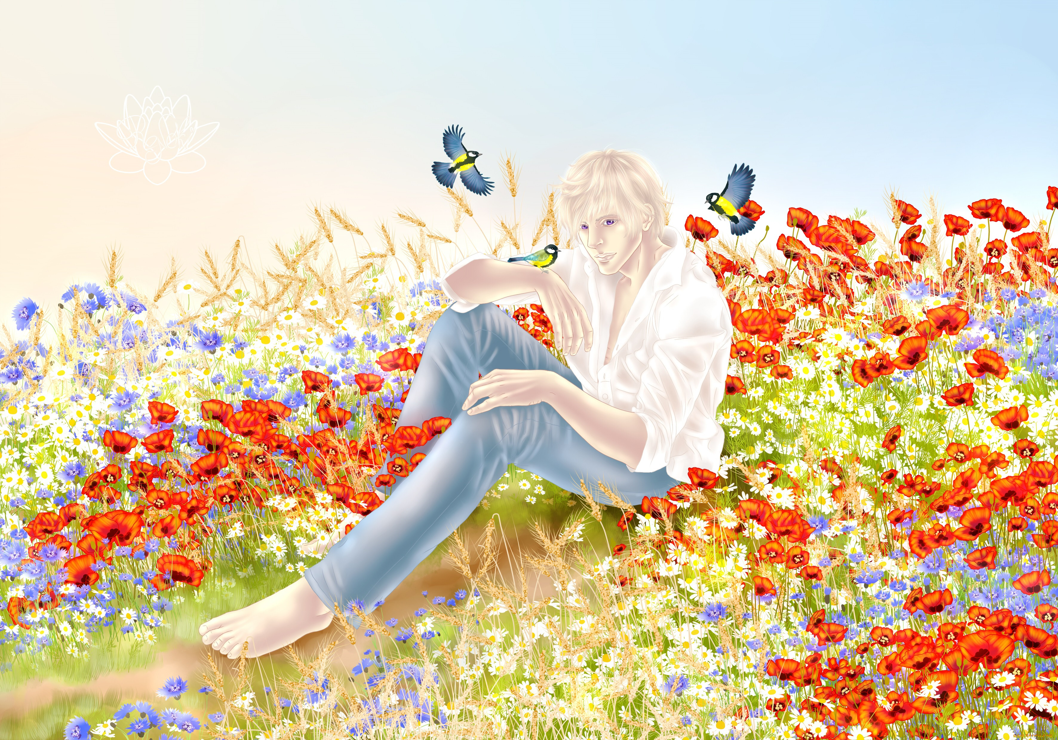 , hetalia,  axis powers, 